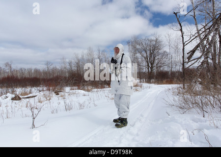 Coyote caccia in inverno Foto Stock