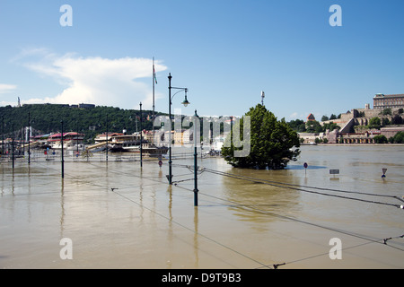 Il Fiume Danubio sul suo livello di picco a 891cm / 8.91m / 32.185ft a Budapest Ungheria nel giugno 2013. Foto Stock