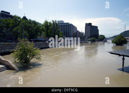 Il Fiume Danubio sul suo livello di picco a 891cm / 8.91m / 32.185ft a Budapest Ungheria nel giugno 2013. Foto Stock