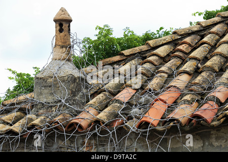 Abbandonati in terracotta del Mediterraneo tetto di tegole e camino in Croazia Foto Stock