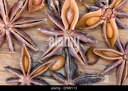 Vista macro di illicium semi spice sul tavolo di legno Foto Stock