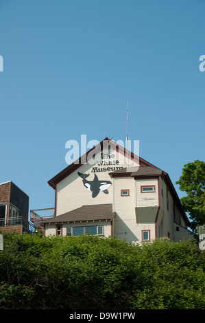 Il museo della balena,Friday Harbor,San Juan Island,Washington. Foto Stock