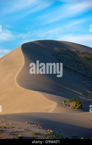 La cresta di una duna di sabbia al Bruneau Sand Dunes State Park nel sud-ovest dell'Idaho. Foto Stock