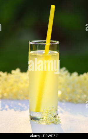Bicchiere di naturale lâ Elderflower fatti in casa con il succo di limone. Close up estate freddo bevanda analcolica. Foto Stock