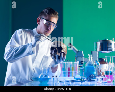 Close-up di archeologia scienziato spazzolare un teschio umano in un laboratorio Foto Stock