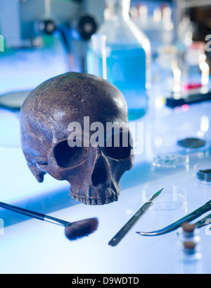 Close-up di antiche teschio umano impostato su un tavolo in un laboratorio forense Foto Stock