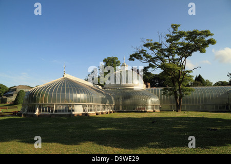 Vista del paesaggio di kibble Palace giardini botanici a Glasgow, Scotland, Regno Unito Foto Stock