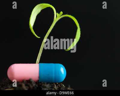 Macro di due foglie verdi impianti e un medicamento in rosa e capsula blu su sfondo scuro Foto Stock