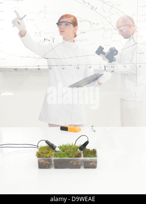 Donna scienziato il monitoraggio di un esperimento di impianto il controllo permanente di un diagramma e informazioni su una interfaccia di vetro con un vassoio di fresco verde erba con due sonde inserite in primo piano Foto Stock