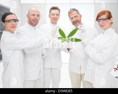 Il gruppo di cinque maschi e femmine scienziati tenendo un geneticamente modificati in foglia di ingegneria genetica di laboratorio proudl sorridente Foto Stock
