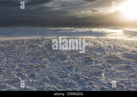 Tempesta di neve in Mosfellsheidi, Islanda - Snjóstormur á Mosfellsheiði Foto Stock
