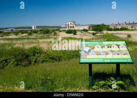 Bacheca, riserva naturale delle zone umide, Cardiff Bay, Cardiff, Galles. Foto Stock