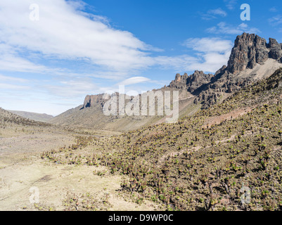 Kenya, Africa centrale di Monte Kenya N.P. Il monte Kenia con la valle Mackinder e Giant Lobelias e Groundsel gigante. Foto Stock
