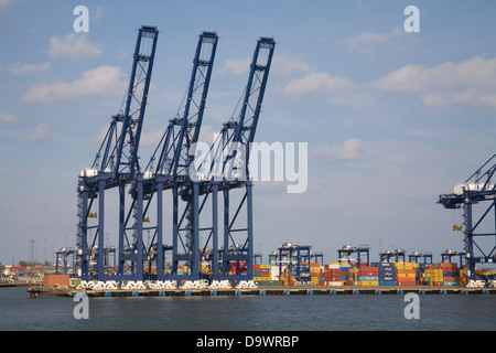 Porto di Felixstowe Suffolk East Anglia England contenitori su procedure Dockside Wizard in attesa di caricamento sulla nave portacontainer Foto Stock