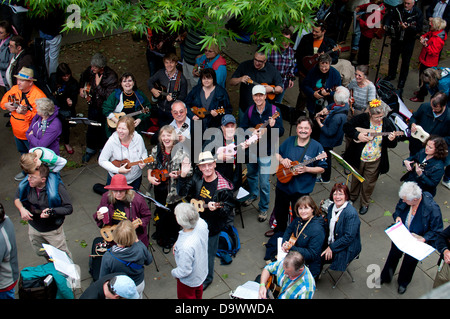 Messa busk al 2013 Ukulele Festival di Gran Bretagna Foto Stock