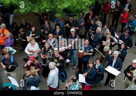 Messa busk al 2013 Ukulele Festival di Gran Bretagna Foto Stock