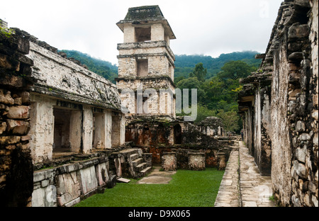 Palenque sito archeologico in Chiapas, Messico. Foto Stock