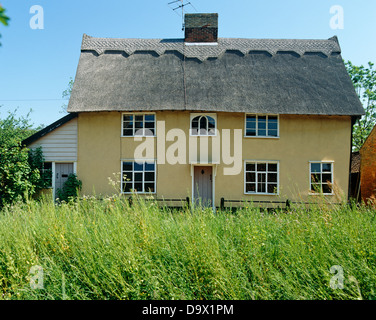 Esterno del xvii secolo cottage con tetto in paglia e lunga erbe e fiori selvatici che crescono in giardino Foto Stock