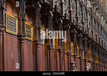 Lincoln - St. Hugh del coro dei sedili con targhette all interno della cattedrale, Lincoln, Lincolnshire, Regno Unito, Europa Foto Stock