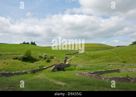 Smardale packhorse ponte sullo scandalo Beck, Smardale Gill riserva naturale, vicino Kirkby Stephen, Cumbria, England Regno Unito Foto Stock