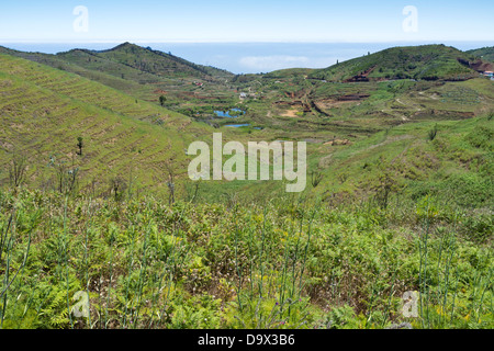 Stagni a Erjos ricavati in zone dove topsoil è stata estratta per l'agricoltura locale, Tenerife, Isole Canarie, Spagna. Foto Stock