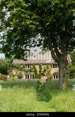 Percorso falciata attraverso erba lunga che conduce fino a Cotswold cottage in pietra. Wyck Rissington, Cotswolds, Gloucestershire, Inghilterra Foto Stock