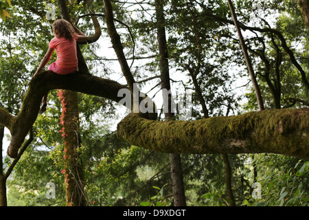 Una giovane ragazza seduta fino in una struttura ad albero. Foto Stock