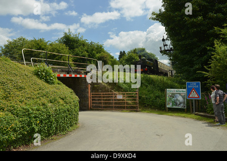 Guardando il treno presso il South Devon Railway, Buckfastleigh -2 Foto Stock