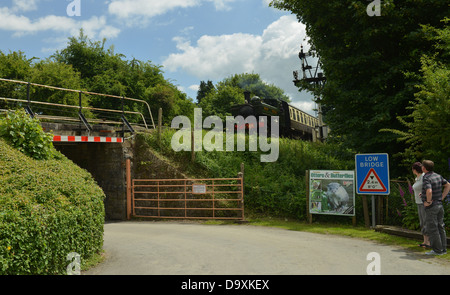 Guardando il treno presso il South Devon Railway, Buckfastleigh -1 Foto Stock