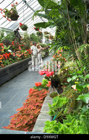 Dh Giardini Botanici di Wellington NUOVA ZELANDA giovane guardando le piante in casa Begonia botanical hot house garden persone Foto Stock