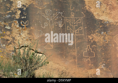 Native American incisioni rupestri in Lobo Canyon, Cebolla deserto, Nuovo Messico. Fotografia digitale Foto Stock