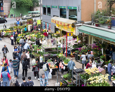 Dh Flower Market Mong Kok di Hong Kong di persone in strada di negozi di fiori Anno Nuovo Cinese fiori mongkok scena Foto Stock