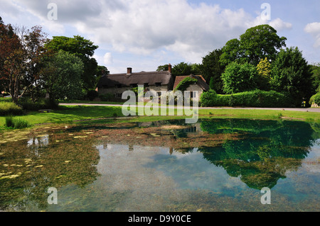 Una vista del villaggio più alto nel Dorset, Ashmore UK Foto Stock