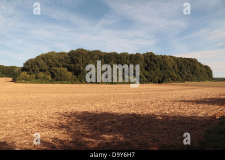 La vista verso Mametz legno dalla 38th (gallese) Divisione Memorial drago rosso Memorial sul campo di battaglia della Somme, Francia. Foto Stock