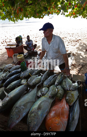 Pescatore locale vendita di pesce fresco pescato da una banchina in stallo, Isola di Mahe, Seicelle Foto Stock
