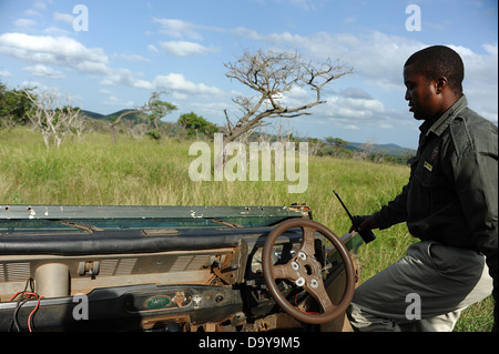 South African game reserve guidatore sale in veicolo aperto nella boccola. Foto Stock