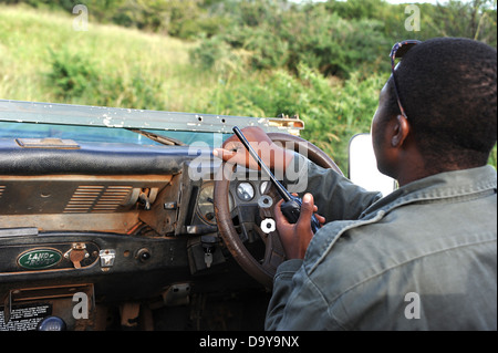 Uomo alla guida in game reserve holding walkie-talkie. Sud Africa. Foto Stock