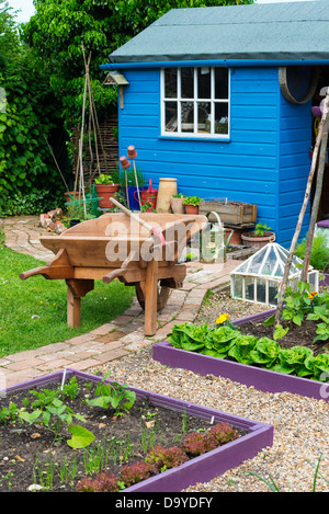 Inizio estate giardino con dipinto luminosamente sollevato letti con percorso shingle, Norfolk, Inghilterra, Giugno. Foto Stock
