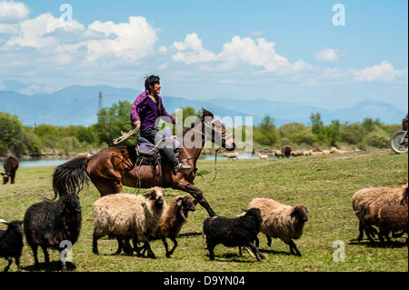 Il pastore guidare un gregge di pecore in esecuzione sulla prateria Foto Stock