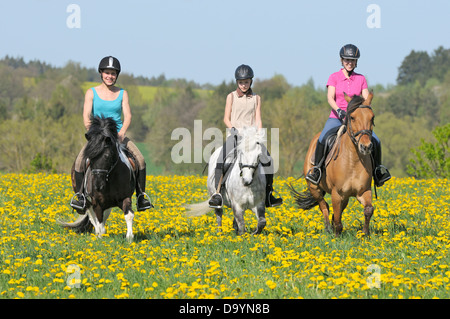 Tre giovani piloti sul retro del pony a cavallo di un prato di fiori Foto Stock