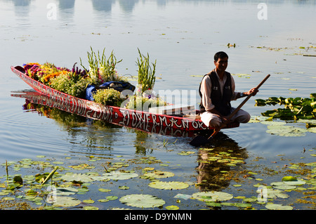 Venditore di fiori, fiori, Boatman, Lago, Shikara, Kashmir India, Mercato Flaoting, Tropici Foto Stock