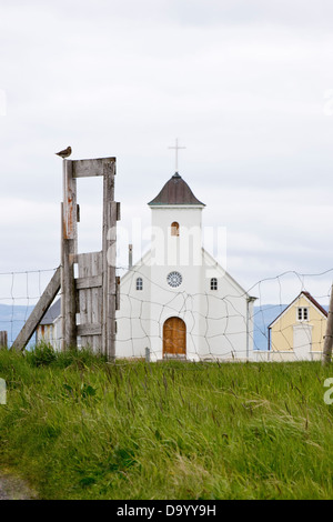 Chiesa costruita nel 1926 con whimbrel (Numenius phaeopus) appoggiato sul gate Flatey Isola Breiðafjörður Islanda Foto Stock