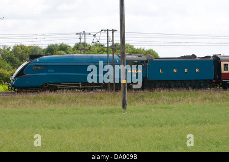 Tarabuso tira la striatura Ebor treno attraverso Church Fenton e Ryther sulla strada per il grande raduno a York Foto Stock