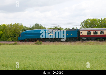 Tarabuso tira la striatura Ebor treno attraverso Church Fenton e Ryther sulla strada per il grande raduno a York Foto Stock