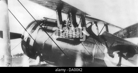 Il 95th Aero Squadron, attivo durante la prima guerra mondiale, pilotò il Nieuport 28, un aereo da caccia di progettazione francese noto per il suo ruolo in missioni di combattimento aereo e ricognizione. Foto Stock