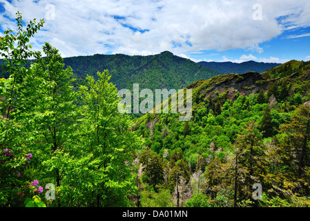 Paesaggio estivo nelle Smoky Mountains vicino a Gatlinburg, Tennessee. Foto Stock