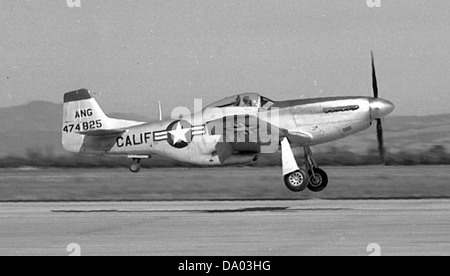 195° Fighter Squadron - North American P-51D-30-NA Mustang 44-74826 Foto Stock