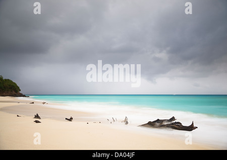 Spiaggia tempestosa lunga esposizione con alcuni driftwood nel surf. Foto Stock