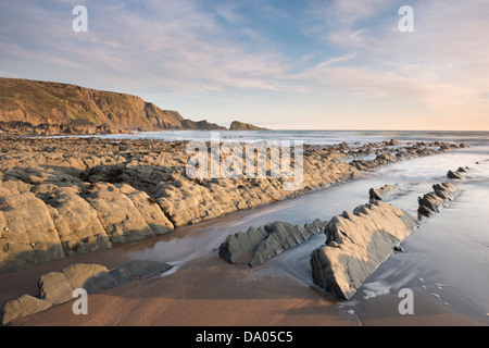 Luce della Sera hits rocce sulla bocca Welcombe Beach, North Devon, Regno Unito. Foto Stock