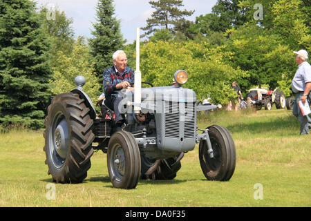 Modello Ferguson TE20, vintage display del trattore e parade, Royal Horticultural Society Garden Party Weekend, il 29 e 30 giugno 2013. Due giorni di mostra, attività e musica al giardino RHS Wisley, Surrey, Inghilterra, Gran Bretagna, Italia, Regno Unito, Europa. Foto Stock